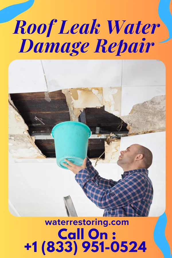 Roof Leak Water Damage Repair in Paradise, KS